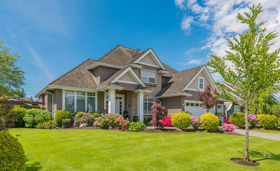 See the newest listings